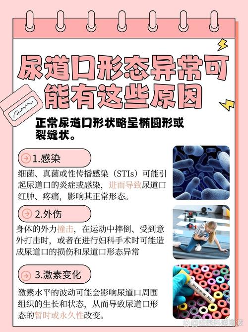 中国少妇一级av的相关介绍