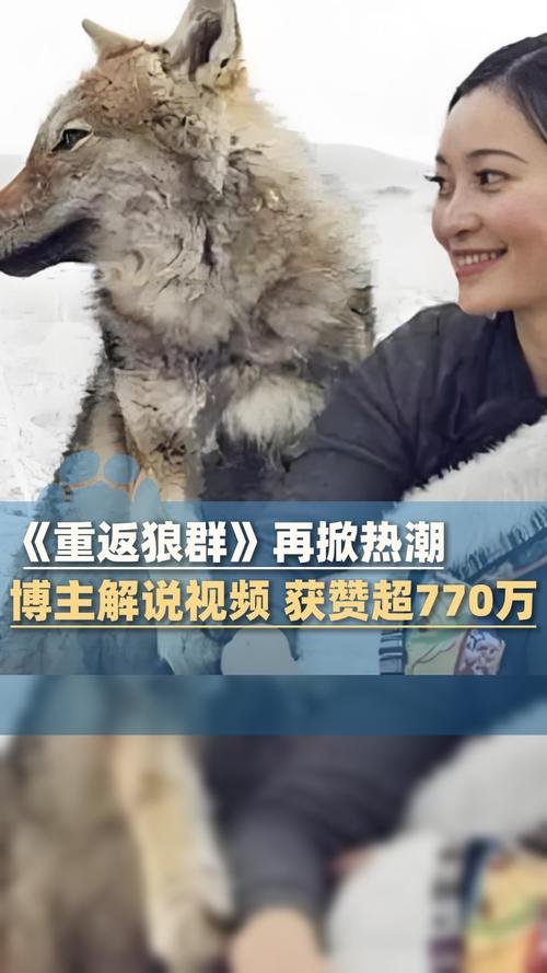 老湿影院48x免登录观看教程，2025最新免费在线观影入口（老湿影院48x免、高清无广告、永久有效）