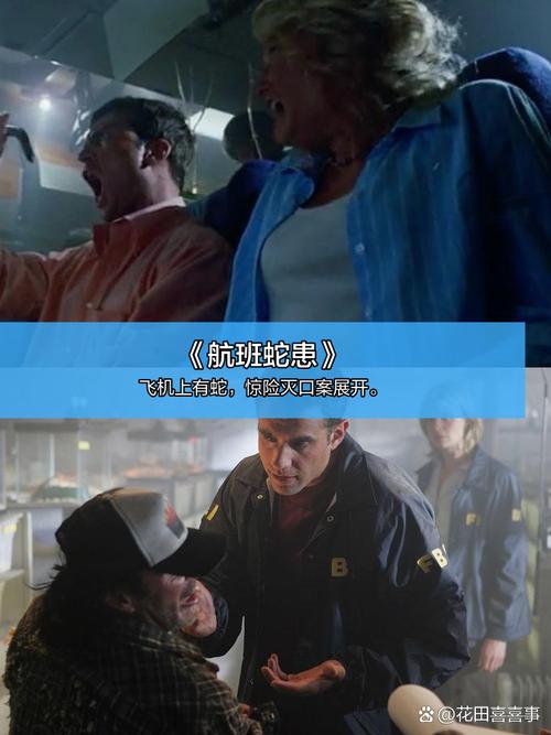 毒蛇影院-2025最新免费VIP影视站，全网热播剧高清无广告在线观看
