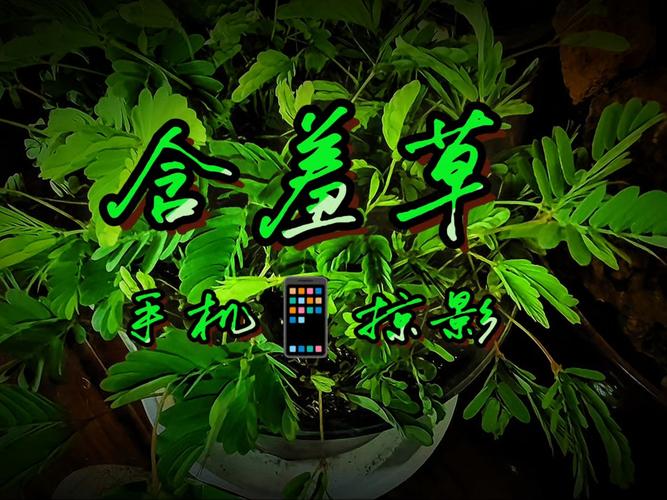 春意影院在线观看免费高清电影全集 - 2025最新热播影视剧推荐