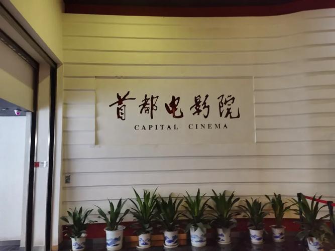 56影院的相关介绍