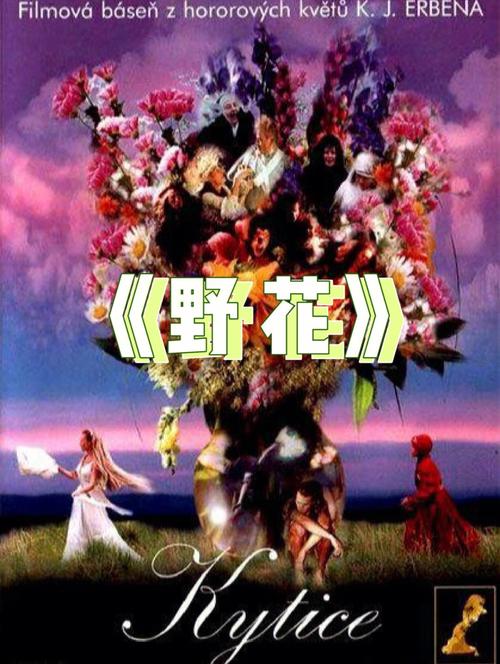 汤姆影院高清视频在线观看 - 2025最新热播大片免费追剧、无广告高清播放、全网影视资源聚合平台