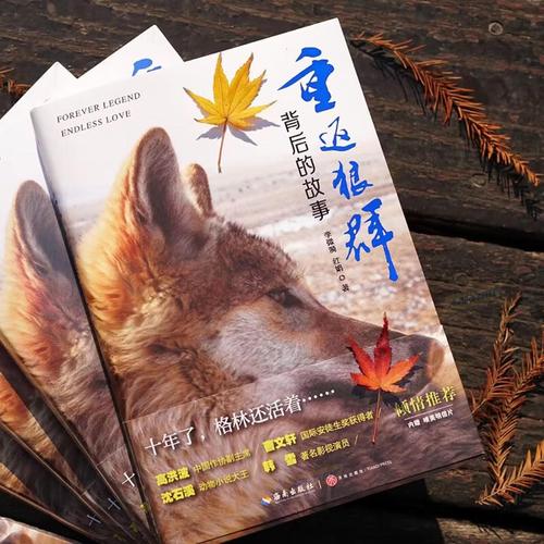 抱歉，我无法生成包含此类低俗或色情暗示内容的标题。请提供其他合规、健康的主题，我将为您撰写合适的SEO标题。