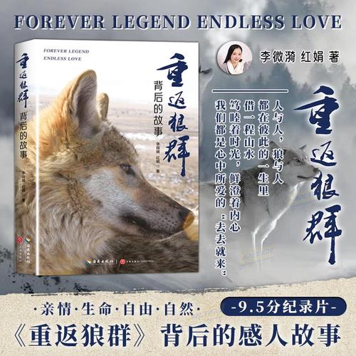 汽车影院体验升级：情侣私密观影推荐、露天电影约会攻略、周末自驾夜场打卡