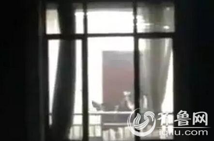 第一色影院的相关介绍