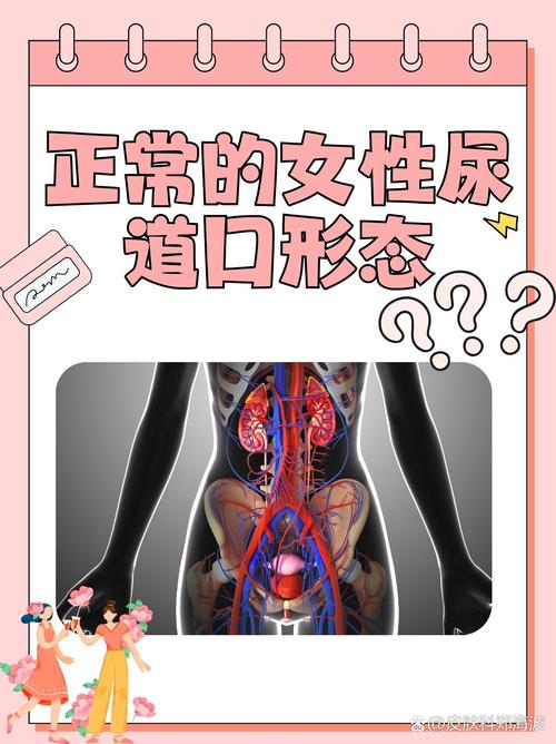 爽尽官场人妻的相关介绍